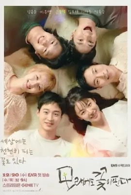 ดูหนังออนไลน์ Like Flowers In Sand  ดอกไม้สังเวียนทราย (2023)