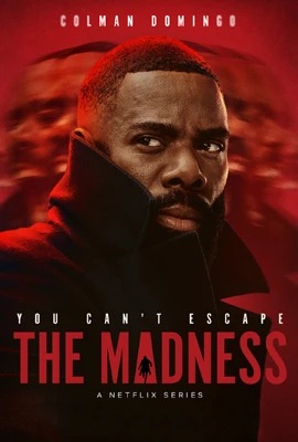 ดูหนังออนไลน์ The Madness  เหยื่อข่าวคลั่ง (2024)