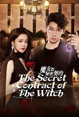 ดูหนังออนไลน์ The Secret Contract of the Witch  ลิขิตรักผู้วิเศษ (2025)